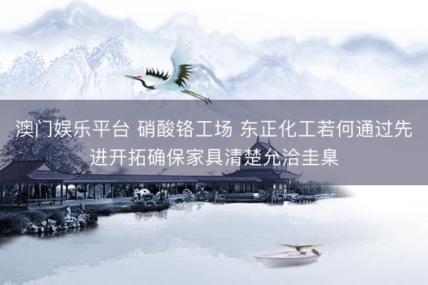 澳门娱乐平台 硝酸铬工场 东正化工若何通过先进开拓确保家具清楚允洽圭臬
