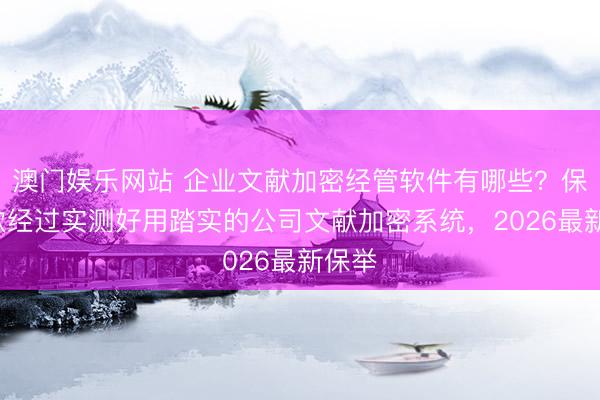 澳门娱乐网站 企业文献加密经管软件有哪些？保举8款经过实测好用踏实的公司文献加密系统，2026最新保举