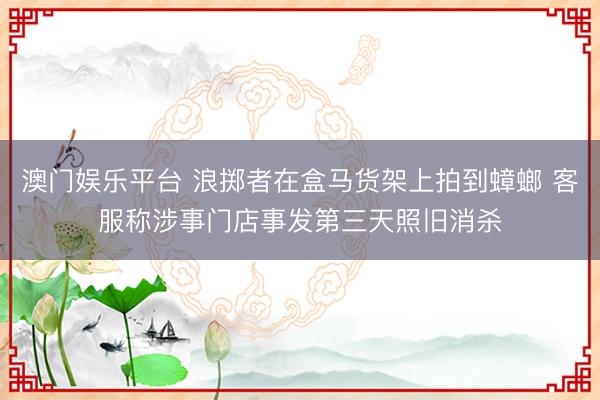 澳门娱乐平台 浪掷者在盒马货架上拍到蟑螂 客服称涉事门店事发第三天照旧消杀