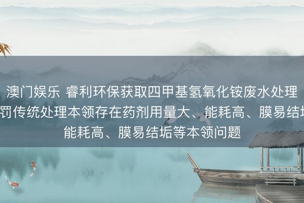 澳门娱乐 睿利环保获取四甲基氢氧化铵废水处理系统专利, 处罚传统处理本领存在药剂用量大、能耗高、膜易结垢等本领问题